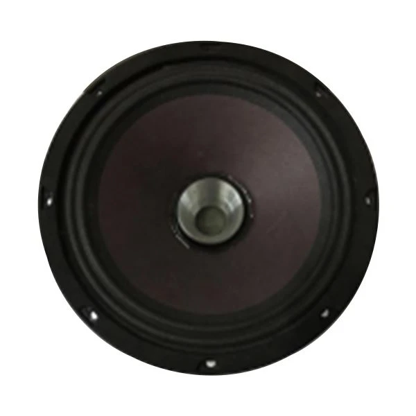 8inch Speaker With Driver